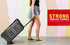 Thriller 450 (T-300 PRO) Trolley Speaker